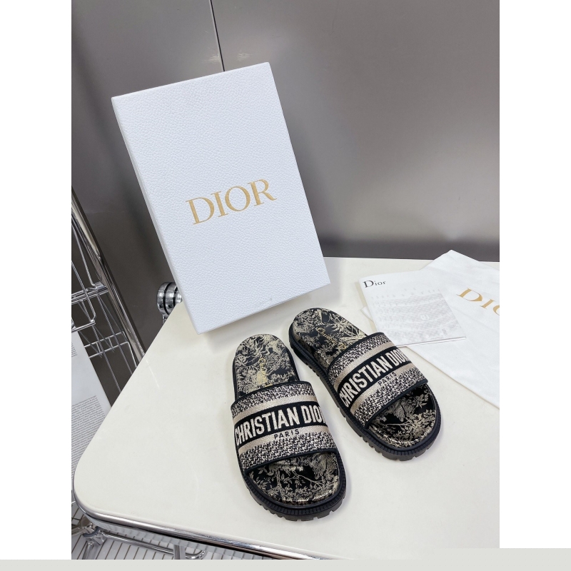 ch**an D*or slippers